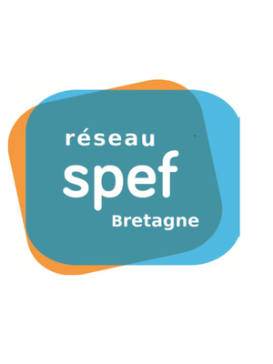 Diagnostic outils et pratiques numériques - SPEFs